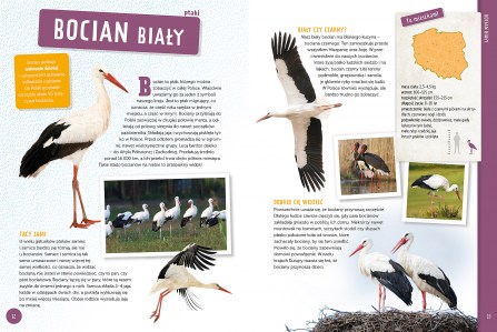 Zwierzęta Polski elibri (3)